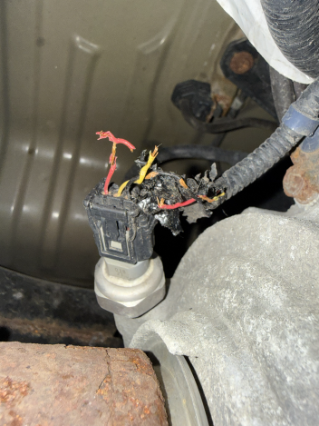 Damaged differential sensor wires showing red and yellow insulation chewed by an animal, mounted on an automotive component in what appears to be a vehicle undercarriage. The damage demonstrates real-world diagnostic challenges in automotive repair.